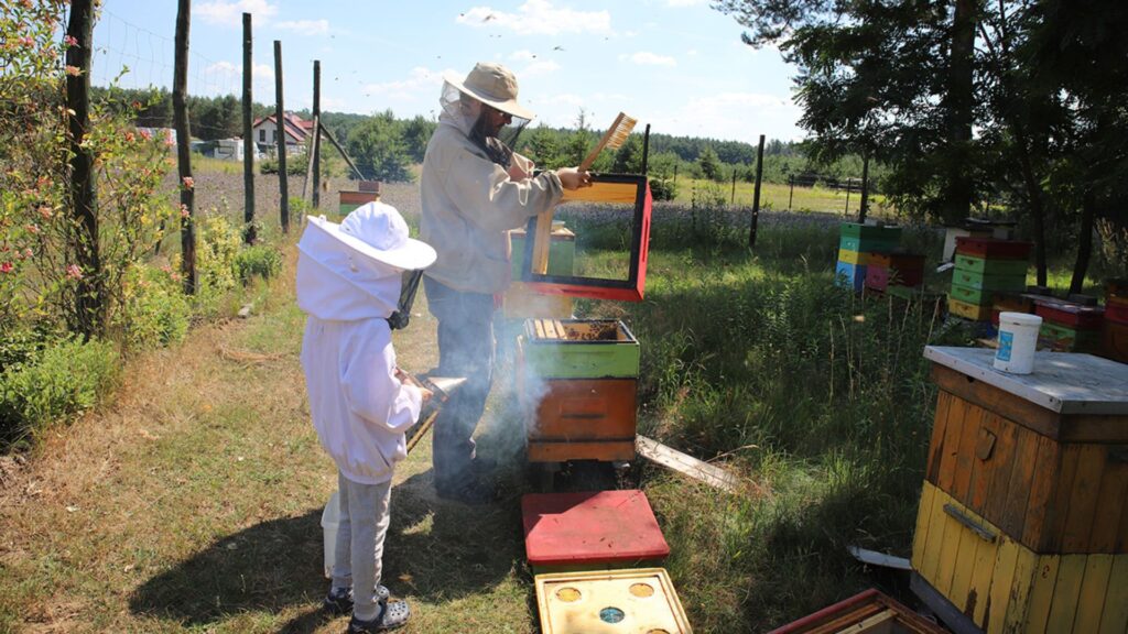 lesna-2-pasieka-bee-open-2024-wielokwiatowy-miod